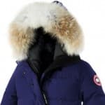 canada-goose-150×150
